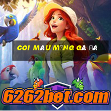 coi màu mạng gà đá