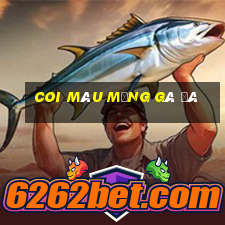 coi màu mạng gà đá