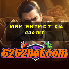 hình ảnh thực tế của góc bẹt