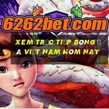 xem trực tiếp bóng đá việt nam hôm nay