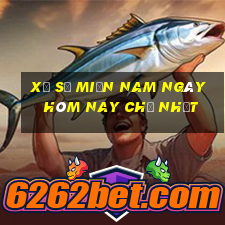 xổ số miền nam ngày hôm nay chủ nhật