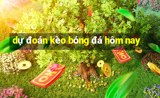 dự đoán kèo bóng đá hôm nay