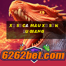 xổ số cà mau xổ số hậu giang