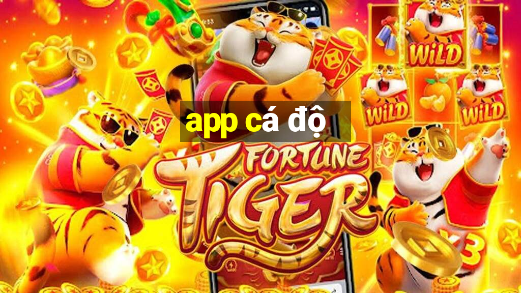 app cá độ