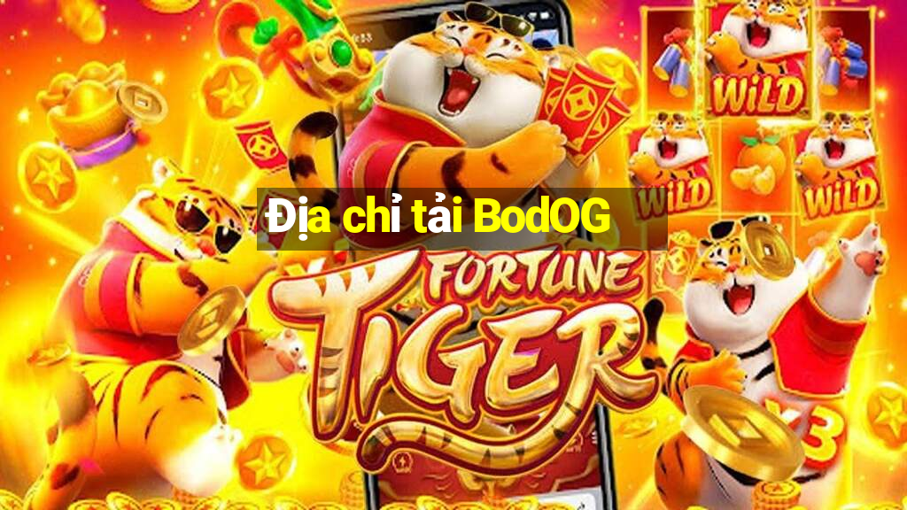 Địa chỉ tải BodOG