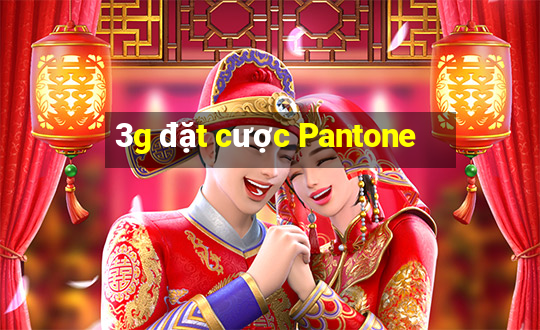 3g đặt cược Pantone