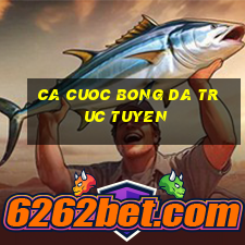 ca cuoc bong da truc tuyen