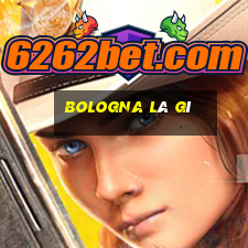 bologna là gì