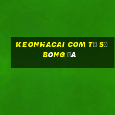 keonhacai com tỷ số bóng đá