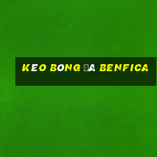 kèo bóng đá benfica