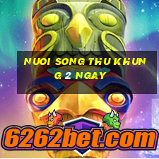 nuoi song thu khung 2 ngay