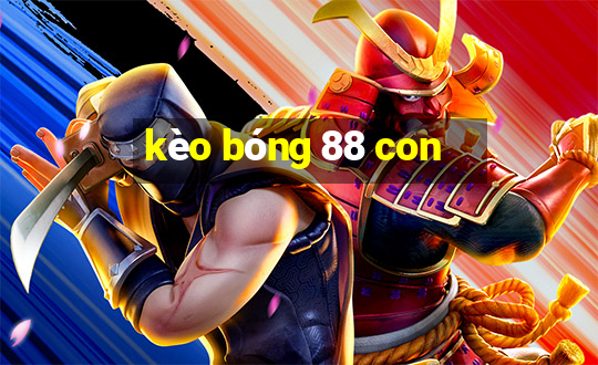 kèo bóng 88 con