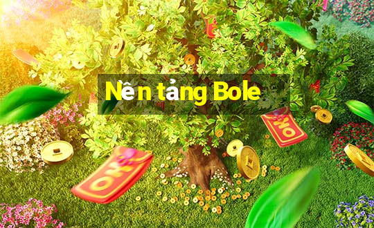 Nền tảng Bole