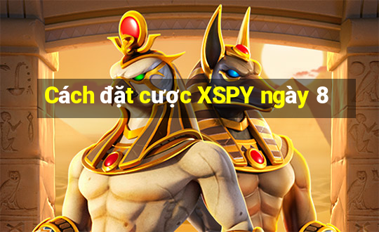 Cách đặt cược XSPY ngày 8