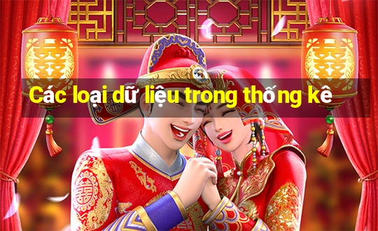 Các loại dữ liệu trong thống kê