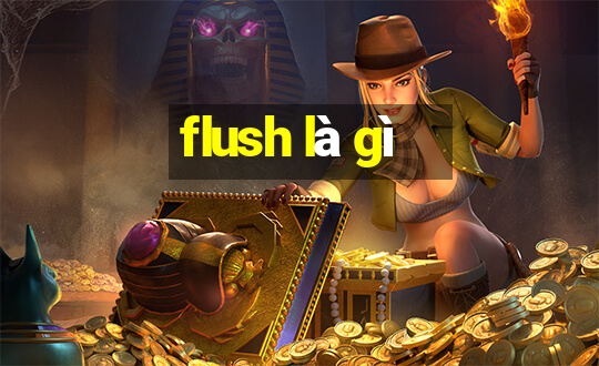 flush là gì