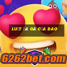 luật đá gà cựa dao