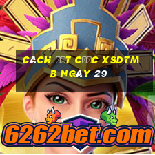 Cách đặt cược XSDTMB ngày 29