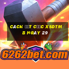 Cách đặt cược XSDTMB ngày 29