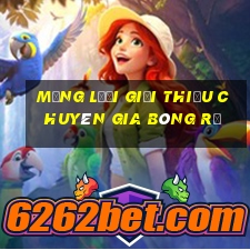 Mạng lưới giới thiệu chuyên gia bóng rổ