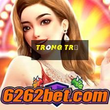 trông trẻ