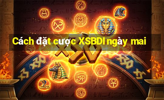 Cách đặt cược XSBDI ngày mai