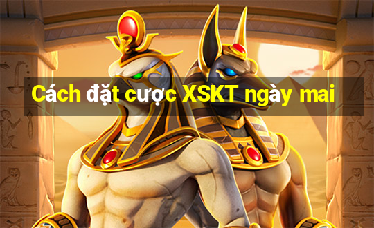 Cách đặt cược XSKT ngày mai