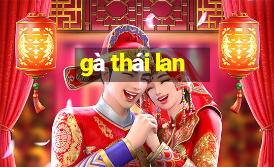 gà thái lan