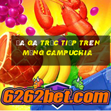 đá gà trực tiếp trên mạng campuchia