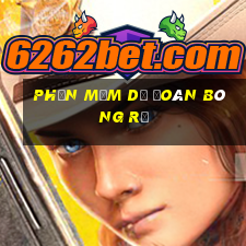 Phần mềm dự đoán bóng rổ