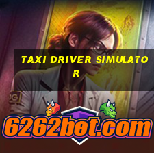 taxi driver simulator