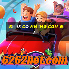 bộ 13 có những con gì