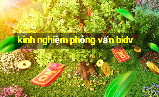 kinh nghiệm phỏng vấn bidv