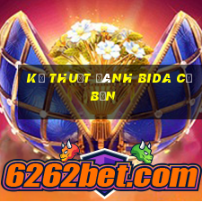 kỹ thuật đánh bida cơ bản