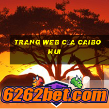 Trang web của Caibohui