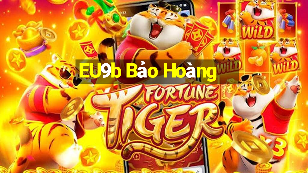 EU9b Bảo Hoàng