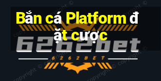 Bắn cá Platform đặt cược