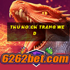 Thu hoạch trang wed