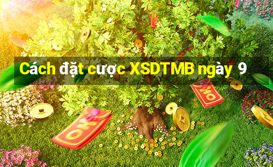 Cách đặt cược XSDTMB ngày 9