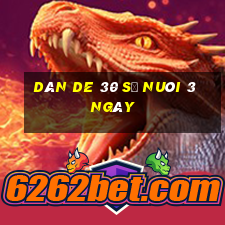 dàn de 30 số nuôi 3 ngày