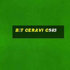 bệt ceravi c503