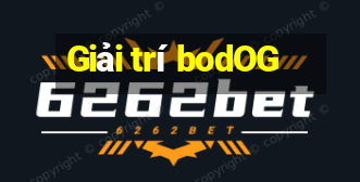 Giải trí bodOG