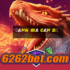 đánh giá cán bộ