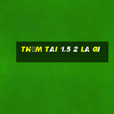 thẩm tài 1.5 2 là gì