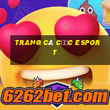 trang cá cược esport