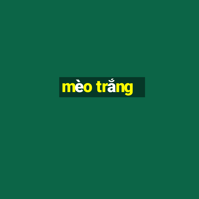 mèo trắng