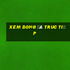 xem bong đá truc tiếp