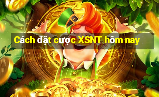 Cách đặt cược XSNT hôm nay