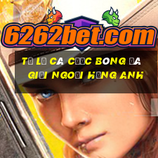 tỷ lệ cá cược bóng đá giải ngoại hạng anh