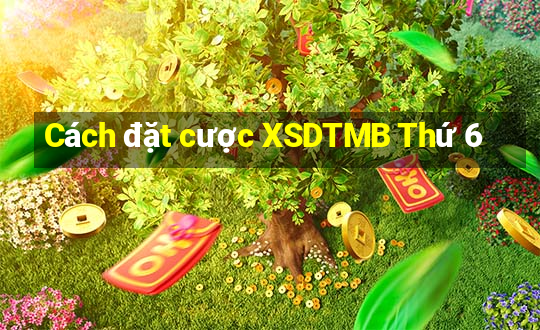 Cách đặt cược XSDTMB Thứ 6